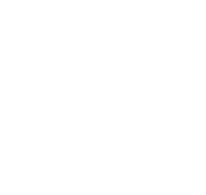 Dossen Surf School